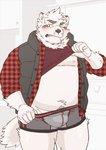 anthro belly blush bulge clothing fur kemono male moobs navel nipples overweight overweight_anthro overweight_male shirt solo topwear underwear white_body white_fur ryuta-h canid canine mammal hi_res