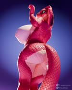 anthro areola ass_clapping big_breasts big_butt bouncing_butt breasts butt countershading female huge_breasts huge_butt looking_back low-angle_view nipples non-mammal_breasts non-mammal_nipples nude red_body red_scales scales side_boob simple_background snake_hood solo tail thick_thighs turning_around white_body white_countershading wide_hips f-euphrates ember_(f-euphrates) cobra reptile scalie snake 3d_(artwork) 3d_animation animated digital_media_(artwork) hi_res no_sound short_playtime webm