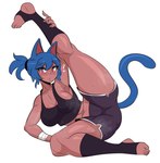 blue_hair bodily_fluids breasts cleavage clothed clothing female flexible hair hand_on_calf hand_on_leg hand_on_own_calf hand_on_own_leg one_leg_up raised_leg reclining simple_background solo spread_legs spreading standing stretching sweat white_background kinathefox animal_humanoid cat_humanoid felid felid_humanoid feline feline_humanoid humanoid mammal mammal_humanoid absurd_res hi_res