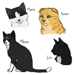 ambiguous_gender black_body black_fur blue_eyes brown_eyes feral feralized floppy_ears folded_ears fur green_eyes group markings orange_stripes simple_background stripes white_background white_body white_fur white_markings yellow_body yellow_fur ouivon attack_on_titan armin_arlert levi_ackerman marco_bodt mikasa_ackerman domestic_cat felid feline felis mammal scottish_fold 2014