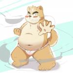 anthro asian_clothing belly blush bulge clothing east_asian_clothing fundoshi humanoid_hands japanese_clothing male nipples overweight overweight_anthro overweight_male solo underwear art_hoshi canid canine canis domestic_dog mammal 1:1 2015 hi_res