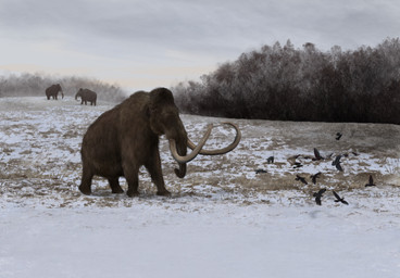 brown_body brown_fur fatty_humps feral forest fur grass group huge_tusks plant proboscis_(anatomy) small_eyes snow solo_focus tree trio trunk_(anatomy) tundra tusks mihin89 ambient_bird elephantid mammal mammoth prehistoric_species proboscidean woolly_mammoth 2023 hi_res