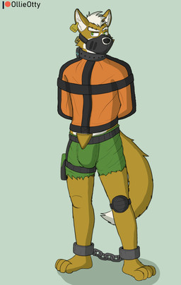 anthro bdsm belt bondage bound bulge chain chained chained_cuffs clothed clothing collar ear_piercing ear_tag fur gag gagged green_eyes gun hair kerchief knee_pads male muzzle_(object) muzzled nipples orange_body orange_fur piercing ranged_weapon restraints shirtless shock_collar straitjacket tail topless weapon ollieotty nintendo star_fox fox_mccloud canid canine fox mammal hi_res