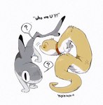 ambiguous_gender collar duo feral fur simple_background spoken_question_mark text white_background yogin spot_(yogin) canid canine canis domestic_cat domestic_dog felid feline felis fish furred_scalie furred_snake hybrid mammal marine reptile scalie shark snake english_text