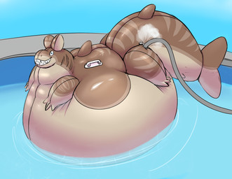 air_from_butt belly big_belly blue_eyes handle handle_bar hose hose_in_butt hose_inflation huge_belly inflatable inflation long_tail nozzle nozzle_(valve) nozzle_on_hip pool_toy pool_toy_handle swimming_pool tail water wideshark sharky_(wideshark) animate_inanimate aquatic fish living_inflatable shark 2025 hi_res