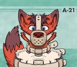 anthro arms_tied asylum bdsm blue_eyes bondage bound fur green_background hair head_markings identification looking_at_viewer male markings muzzle_(object) muzzled orange_body orange_ears orange_fur orange_snout orange_tail pointy_ears prick_ears restraints simple_background solo straitjacket tail kemira kemira_redearth_(character) felid feline mammal 2019 digital_drawing_(artwork) digital_media_(artwork) headshot_portrait icon portrait