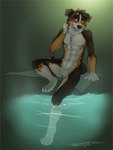 3:4 andromorph anthro blush brown_body brown_fur canid canine canis domestic_dog fur genitals hand_on_neck hi_res intersex kioreii_(character) mammal muscular muscular_anthro nonbinary_(lore) partially_submerged pussy signature simple_background sitting solo spirit_(kioreii) tsaiwolf water