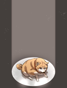 ambiguous_gender collar countershading feral fur orange_body orange_fur paws shadow snout solo spotlight tail bow_(artist) canid canine canis domestic_dog mammal shiba_inu spitz 2025 colored_sketch sketch