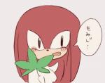 black_eyes blush clothing drugs front_view fur gloves handwear holding_object leaf male marijuana red_body red_fur simple_background solo speech_bubble text white_background buke3jp sega sonic_the_hedgehog_(series) knuckles_the_echidna echidna mammal monotreme japanese_text