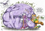 after_vore anthro belly big_belly butt clothing female female_pred footwear fur gloves group handwear huge_belly hyper hyper_belly male male_prey overweight purple_body purple_clothing purple_fur shoes simple_background text trio vore white_background killboo sega sonic_the_hedgehog_(series) big_the_cat blaze_the_cat marine_the_raccoon domestic_cat felid feline felis mammal procyonid raccoon 2023 english_text hi_res