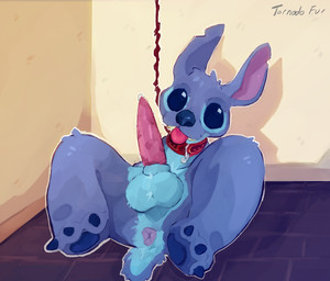 4_toes ambiguous_gender anthro anus ball ball_tuft balls big_eyes big_feet big_nose blue_body blue_toe_claws bodily_fluids body_hair bound butt claws collar cum cum_drip dripping feet feral front_view fur genital_fluids genitals hairy_balls happy head_tuft inside looking_at_viewer lying lying_on_ground male notched_ear on_back on_ground painted_background pawpads penis sharp_teeth small_tail solo spiked_penis spikes spikes_(anatomy) tail tail_tuft teeth toe_claws toes tongue tongue_out tuft tornado_fur disney lilo_and_stitch stitch_(lilo_and_stitch) alien experiment_(lilo_and_stitch) hi_res