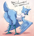 2019 4_toes angry anisodactyl anthro avian avian_feet beak bent_over big_butt biped bird blue_body blue_eyes blue_feathers blush bottomless breasts butt claws clothed clothing digital_media_(artwork) digitigrade eyelashes feathered_wings feathers feet female genitals gradient_background hi_res japanese_text melonleaf meme non-mammal_breasts open_beak open_mouth pussy raised_tail rear_view shaded shirt signature simple_background solo standing steam t-shirt tail tail_feathers text thick_thighs toe_claws toes topwear translated tweetfur twitter wide_hips winged_arms wings