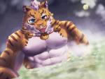 abs blue_eyes coin countershading hair inner_ear_fluff jewelry male muscular muscular_male necklace nipples partially_submerged pecs solo tongue tongue_out tuft tyanoma nekojishi studio_klondike lin_hu felid mammal pantherine tiger 4:3 hi_res