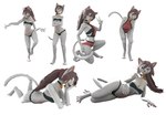 anthro astera_(tolseer) bell bell_collar choker choker_bell collar digitigrade female fur jewelry necklace pose small_waist solo white_body white_fur tolseer domestic_cat felid feline felis humanoid mammal absurd_res hi_res