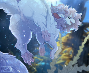 2_horns anus butt claws female feral fluffy fur genitals hair happy head_horn horn membrane_(anatomy) nude open_mouth partially_submerged paws pink_hair pink_inner_ear presenting presenting_hindquarters presenting_vulva red_eyes sea sitting smile solo star text tongue vulva water white_body white_fur shyryp mythology okean_love_(shyryp) dragon furred_dragon furred_scalie mammal mythological_creature mythological_scalie scalie absurd_res artist_name digital_media_(artwork) english_text hi_res