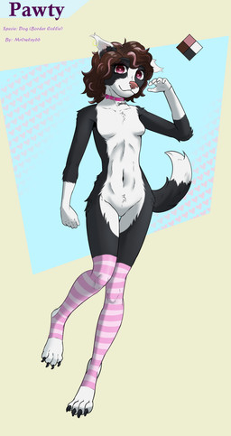 anthro bone_collar_tag brown_hair clothing collar collar_tag digitigrade ear_piercing ear_ring female fur gold_(metal) gold_ear_ring hair happy legwear multicolored_body multicolored_fur multicolored_hair nude nude_female pattern_clothing pattern_legwear pattern_stockings piercing pink_collar pink_eyes pink_nose pink_stockings ring_piercing solo standing stockings striped_clothing striped_legwear striped_stockings stripes tail text text_on_collar_tag wearing_collar mrowley66 pawty border_collie canid canine canis collie domestic_dog herding_dog mammal pastoral_dog sheepdog absurd_res english_text hi_res model_sheet