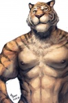 abs anthro belly biceps black_body black_fur black_stripes fur looking_at_viewer male multicolored_body multicolored_fur muscular muscular_anthro muscular_male nipples nude orange_body orange_eyes orange_fur pecs pink_nipples pink_nose simple_background smile solo striped_body striped_fur stripes tan_belly tan_body tan_fur teeth white_background nick300 felid mammal pantherine tiger 2010 signature