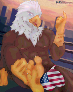 5_fingers 5_toes abs afternoon american_flag american_flag_underwear anthro areola barefoot beak biped blue_eyes brown_body brown_feathers bulge city city_background city_skyline claws clothing detailed_bulge feathers feet fingers flag flag_print foot_fetish genital_outline holidays humanoid_feet humanoid_hands male male_anthro muscular muscular_anthro muscular_male muscular_thighs nipples non-mammal_nipples pecs penis_outline plantigrade scar soles tail tail_feathers toes united_states_of_america white_body white_feathers yellow_body yellow_skin brunisdraws 4th_of_july accipitrid accipitriform avian bald_eagle bird eagle sea_eagle absurd_res full-length_portrait hi_res portrait