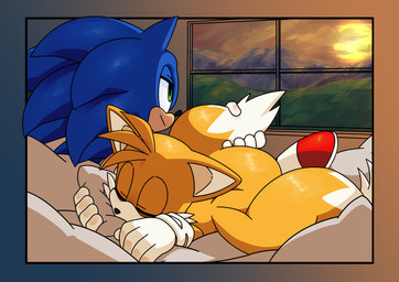 anthro clothing duo footwear fur gloves grass handwear male mountain pillow plant sleeping sun window starampharos sega sonic_the_hedgehog_(series) miles_prower sonic_the_hedgehog canid canine eulipotyphlan fox hedgehog mammal absurd_res hi_res