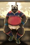 anthro band-aid bandage belly big_belly black_body bottomwear bulge clothing detailed_background hair kemono male moobs overweight overweight_male rugby rugby_uniform shirt shorts sitting solo topwear white_hair xzk vtuber kokuba_hoeguro canid canine mammal 2022 absurd_res hi_res