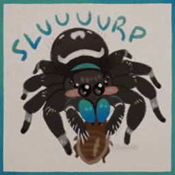 6_eyes ambiguous_gender black_body black_eyes blush blush_lines blush_stickers brown_body duo eating feral grey_background larger_ambiguous larger_feral looking_at_viewer mandibles multi_eye multi_limb simple_background size_difference slurping smaller_ambiguous smaller_feral text vore cuttledreams arachnid araneomorph arthropod blattodean cockroach dubia_roach insect jumping_spider spider 1:1 digital_drawing_(artwork) digital_media_(artwork) english_text low_res watermark