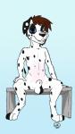 animal_genitalia anthro balls biped black_body black_fur black_spots digitigrade fur genitals male markings presenting sheath simple_background sitting solo spots spotted_body spotted_fur spreading white_body white_fur white_spots young young_anthro dink_(artist) canid canine canis dalmatian domestic_dog mammal ziggy_(disambiguation) absurd_res hi_res