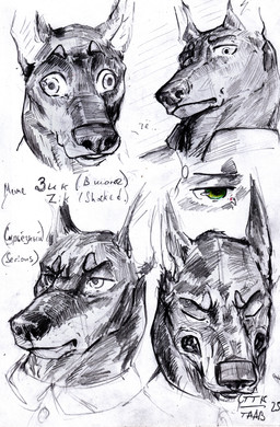 anthro emotional male solo text anxiousboar canid canine canis dobermann domestic_dog mammal pinscher absurd_res english_text hi_res model_sheet russian_text sketch traditional_media_(artwork)