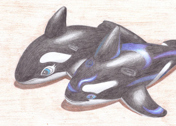 animal_pool_toy beach duo feral inflatable inflatable_toy light pool_float pool_toy summer sunlight justsummerfun aquatic cetacean dolphin mammal oceanic_dolphin orca toothed_whale crayon_(artwork) hi_res traditional_media_(artwork)