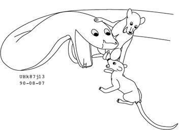 animal_genitalia balls feral frown genitals group imminent_oral_vore imminent_vore larger_pred male male/male male_pred male_prey nude nude_pred nude_prey open_mouth sheath size_difference smile tail trio vore willing_pred urbanhermit mammal mouse murid murine rat reptile rodent scalie snake 1990 black_and_white dated low_res monochrome