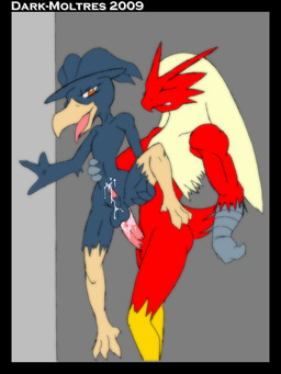 anthro balls bodily_fluids cum duo erection genital_fluids genitals male male/male orange_eyes penis dark-moltres nintendo pokemon avian bird blaziken generation_2_pokemon generation_3_pokemon murkrow pokemon_(species) 2009