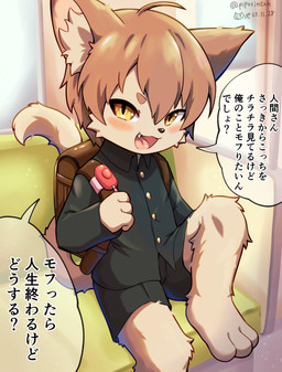 3_toes ahoge anthro backpack barefoot bent_legs blush bottomwear brown_hair cheeky clothing dialogue feet fingers hair looking_at_viewer male personal_alarm school_uniform shorts sitting solo speech_bubble tail talking_to_viewer text toes uniform young young_anthro young_male piporinton domestic_cat felid feline felis mammal 2025 hi_res japanese_description japanese_text translation_request