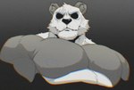 anthro barazoku eye_scar facial_scar gradient_background male muscular muscular_anthro muscular_male pecs scar simple_background solo mr_nellory beastars gouhin_(beastars) bear giant_panda mammal chromatic_aberration digital_drawing_(artwork) digital_media_(artwork) greyscale hi_res monochrome