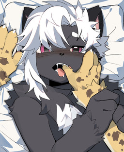 anthro asymmetrical_hair bed black_ears blush chest_tuft duo finger_in_mouth fur furniture grey_body grey_fur hair looking_at_viewer lying male on_back on_bed tuft white_hair zibao999 milo_(choop) domestic_cat felid feline felis mammal hi_res