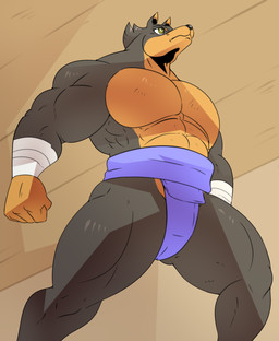 abs anthro asian_clothing bandage clothing east_asian_clothing fist fur japanese_clothing low-angle_view male mawashi mouth_closed muscular muscular_anthro muscular_male pecs solo sumo sumo_wrestler reagan700 bruno_silva canid canine canis dobermann domestic_dog mammal pinscher 2023 hi_res