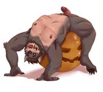 anthro casual_erection erection facial_hair food fruit genitals grey_body humanoid_genitalia humanoid_hands humanoid_penis male muscular muscular_anthro muscular_male nipples nude penis plant pumpkin sitting sitting_on_pumpkin solo vein veiny_penis beastsauc3 canid canine canis mammal wolf hi_res