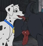 101_dalmatians anal animal_genitalia animal_penis anus anus_lick archerteamr_artist balls bodily_fluids butt canid canine canine_genitalia canine_penis canis collar dalmatian digital_media_(artwork) disney domestic_dog duo erection female female_rimming_male feral fur genital_fluids genitals hi_res knot labrador_(101_dalmatians) licking male male/female mammal markings nude open_mouth oral penis perdita rimming saliva saliva_on_anus saliva_on_balls sex spots tail tongue tongue_out white_body white_fur