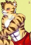 blush male muscular muscular_male solo otorigin felid mammal pantherine tiger absurd_res hi_res