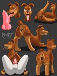 anal anal_penetration animal_genitalia animal_penis animal_pussy anthro bestiality bodily_fluids canine_genitalia canine_penis canine_pussy cowgirl_position cum cum_in_mouth cum_inside female feral from_front_position genital_fluids genitals licking male male/female on_bottom on_top oral penetration penile penis penis_lick pussy sex solo tongue tongue_out vaginal_fluids m-47 canid canine canis domestic_dog mammal 3:4 hi_res