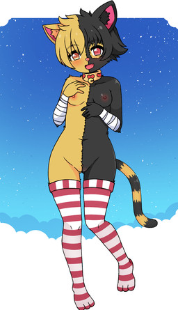 anthro biped black_body black_fur clothing female female_anthro front_view fur genitals humanoid_genitalia humanoid_vulva legwear orange_body orange_fur solo standing thigh_highs vulva young 2kaze allison_perez domestic_cat felid feline felis mammal absurd_res hi_res