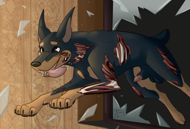 anatomically_correct anatomically_correct_genitalia anatomically_correct_penis animal_genitalia animal_penis balls becoming_erect bodily_fluids bone canine_genitalia canine_penis exposed_bone facial_scar feral genitals glass jumping jumping_through_window male penis rib_cage saliva saliva_string scar scars_all_over sheath solo tongue tongue_out wounded muskydusky capcom resident_evil canid canine canis cerberus_(resident_evil) dobermann domestic_dog mammal pinscher undead zombie hi_res