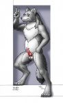 anthro balls biped blue_eyes claws erection genitals gesture hand_gesture male penis pose simple_background solo standing tail v_sign white_background sca_sii wulfie canid canine canis mammal wolf