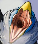 anthro anthro_pred beak black_body black_feathers blue_body blue_feathers bodily_fluids drooling eyes_closed feathers front_view gaping_mouth high-angle_view male mouth_shot multicolored_body multicolored_feathers open_beak open_mouth pink_tongue saliva solo throat tongue white_body white_feathers yellow_beak magpie_magnetism ahab_(ahugebird) accipitrid accipitriform avian bald_eagle bird eagle sea_eagle 2021 digital_media_(artwork) hi_res shaded