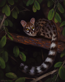 black_markings black_nose black_stripes branch dark darkness feral glowing glowing_eyes in_tree leaf long_tail markings night on_branch plant solo spots striped_markings striped_tail stripes tail tail_markings tree whiskers white_stripes alexpahomov genet mammal viverrid 2024 digital_media_(artwork) digital_painting_(artwork) hi_res painting_(artwork)