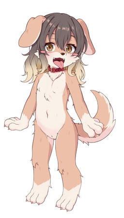 3_toes 4_fingers amber_eyes anthro blush blush_stickers butt butt_from_the_front claws collar cute_fangs fangs feet female fingers fluffy fluffy_tail fur_covering_genitals fur_covering_nipples gloves_(marking) gradient_hair hair leg_markings looking_at_viewer markings navel nude socks_(marking) solo tail teeth toes tongue tongue_out young young_female coral_sky0826 kuushii-chan canid canine canis domestic_dog mammal 4:7 hi_res