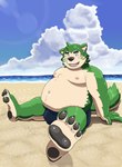 anthro beach belly blush bulge clothing eyebrows fur green_body green_fur male moobs navel nipples overweight pawpads sea sitting solo speedo swimwear thick_eyebrows water toto3_official lifewonders live_a_hero mokdai canid canine canis domestic_dog mammal absurd_res hi_res