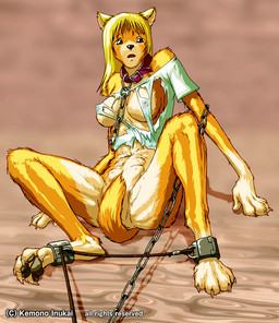 6_breasts anthro areola bdsm biped blonde_hair bodily_fluids bottomless bound breasts breasts_and_teats chain chained claws clothed clothing collar convenient_censorship covering covering_crotch covering_self crying cuff_(restraint) digitigrade feet female hair hindpaw iron_cuffs kemono long_hair looking_at_viewer metal_cuffs multi_breast nipples nude pawpads paws restraints rope sitting soles solo spread_legs spreading tail tail_between_legs tail_censorship tears teats toes torn_clothing transformation translucent translucent_clothing translucent_topwear kemono_inukai canid canine canis domestic_dog mammal