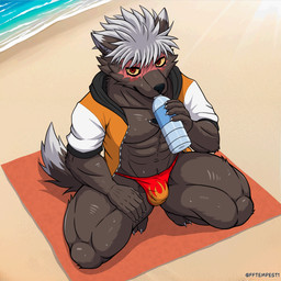 abs anthro asian_clothing beach blush bodily_fluids bottle bulge claws clothing container dipstick_ears dipstick_tail ear_markings east_asian_clothing fluffy fluffy_tail fundoshi fur grey_body grey_fur hair high-angle_view jacket japanese_clothing looking_at_viewer looking_up male markings multicolored_ears muscular muscular_anthro muscular_male pawpads pecs red_clothing red_eyes red_fundoshi red_underwear solo sweat tail tail_markings thick_thighs topwear tuft underwear water_bottle white_hair yellow_sclera fftempest lifewonders tokyo_afterschool_summoners tadatomo_(tas) canid mammal 1:1 absurd_res hi_res