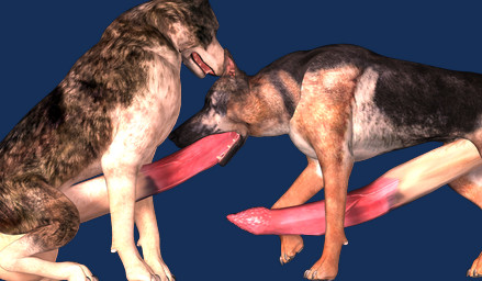 animal_genitalia animal_penis balls big_penis duo erection feline_genitalia feline_penis fellatio feral fur genitals huge_penis hyper hyper_genitalia hyper_penis male male/male nude oral penile penis realistic_feral sex simple_background tapiko canid canine canis domestic_dog mammal 3d_(artwork) alpha_channel digital_media_(artwork)