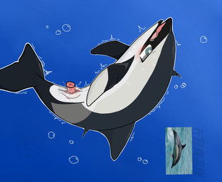 bubble delphinus_capensis female feral genitals male male/female penetration penile penile_penetration penis penis_in_vagina sex shaking solo text trembling underwater underwater_sex underwater_view vaginal vaginal_penetration water anonymous_artist aquatic cetacean dolphin mammal toothed_whale chinese_text hi_res