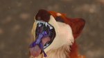 bodily_fluids drooling duo koboldal mawplay open_mouth saliva size_difference teeth throat tongue umbrashiny uvula vore shinyumbra maple_(shinyumbra) razz canid canine deer kobold mammal maned_wolf scalie mouth 16:9 4k absurd_res hi_res widescreen